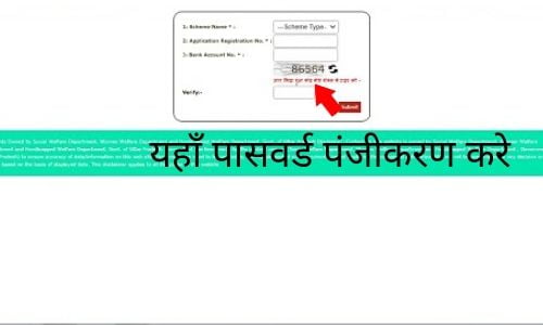 UP Vidhwa Pension Yojana status check